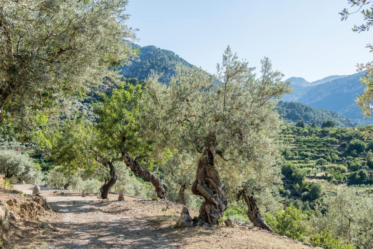 Raco De Soller Vila Exterior foto
